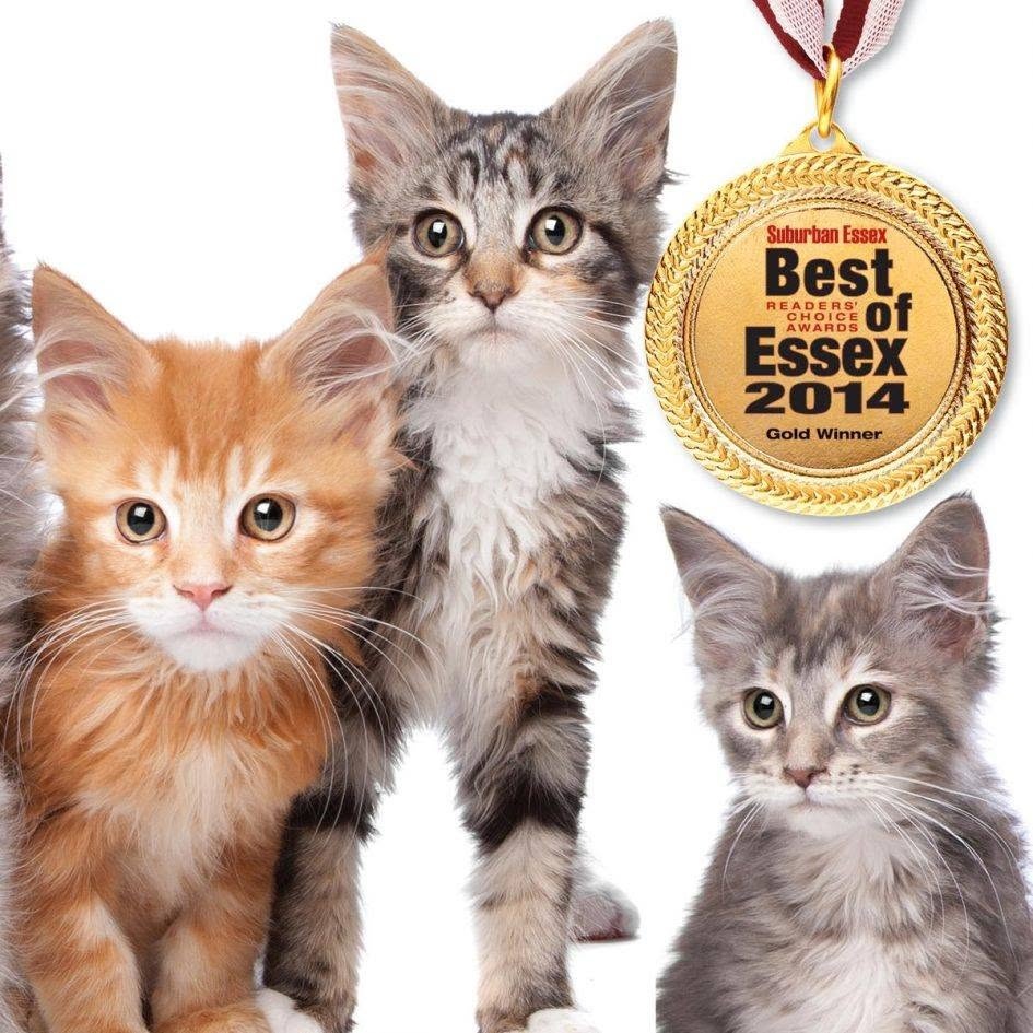 Best of Essex Medal Winner 2014 Best of Essex Medal Winner 2014