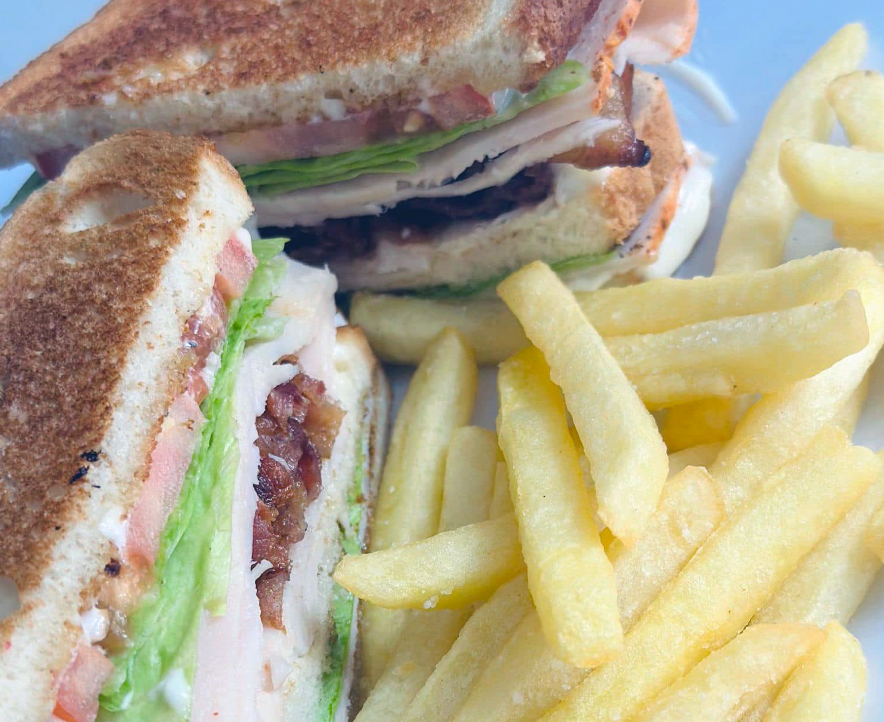 turkey-sandwich